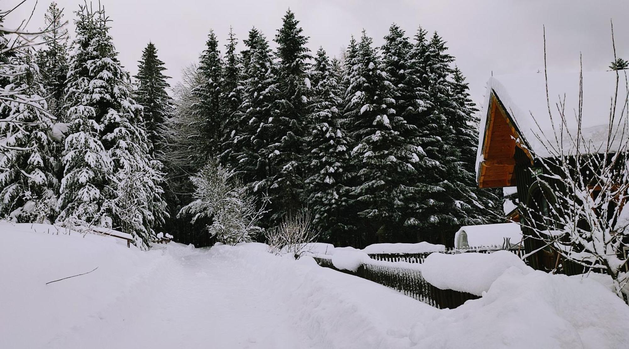 Cudna Pod Hala Krupowa Holiday home Skawica (Lesser Poland)