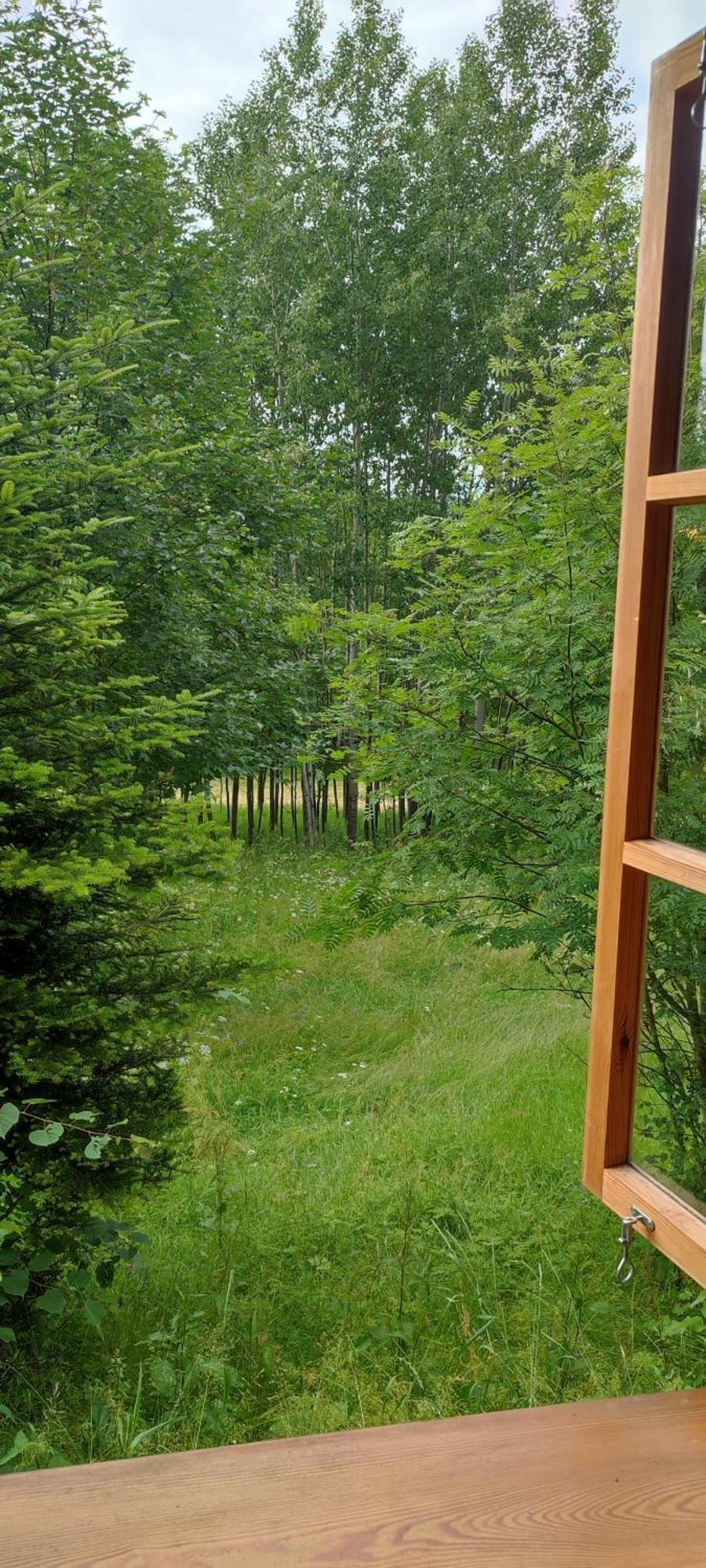Cudna Pod Hala Krupowa Skawica (Lesser Poland)