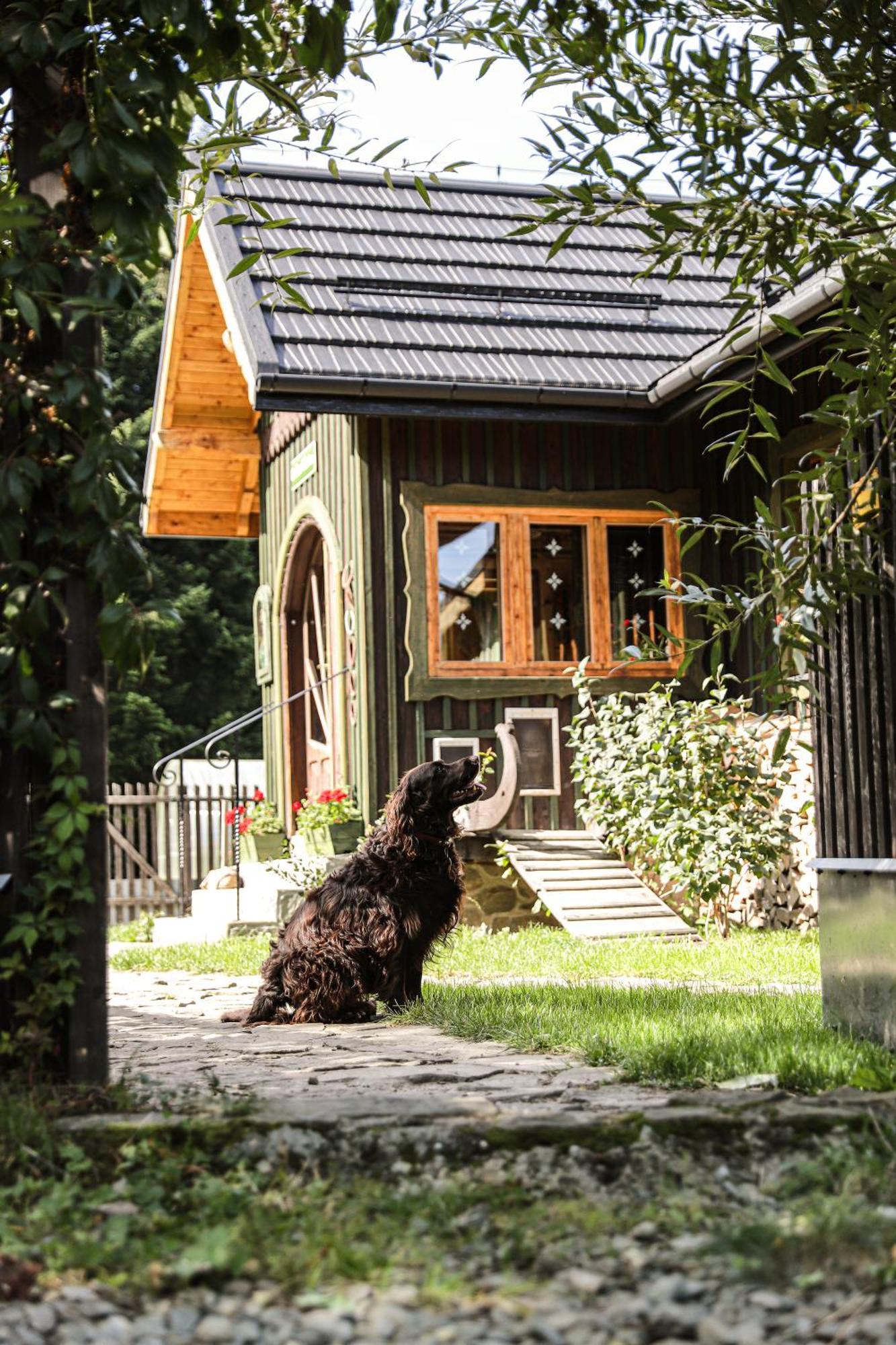 Cudna Pod Hala Krupowa Holiday home *